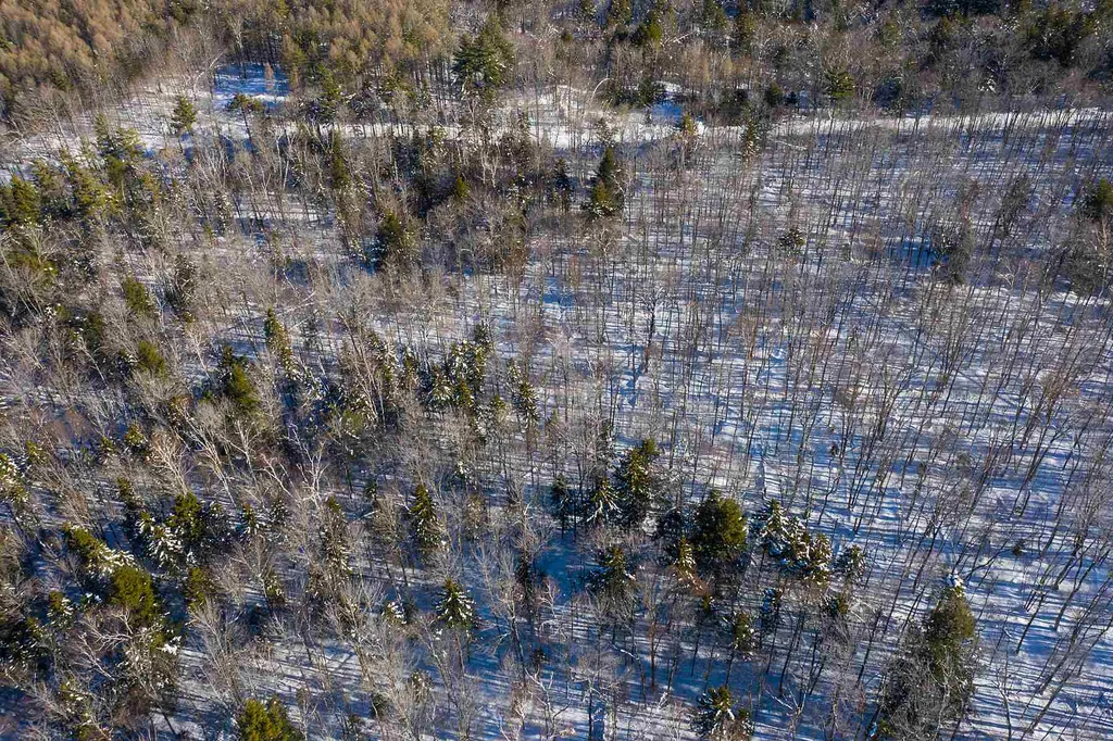 Lot 3 Curtis Hollow Road Woodstock VT 05091