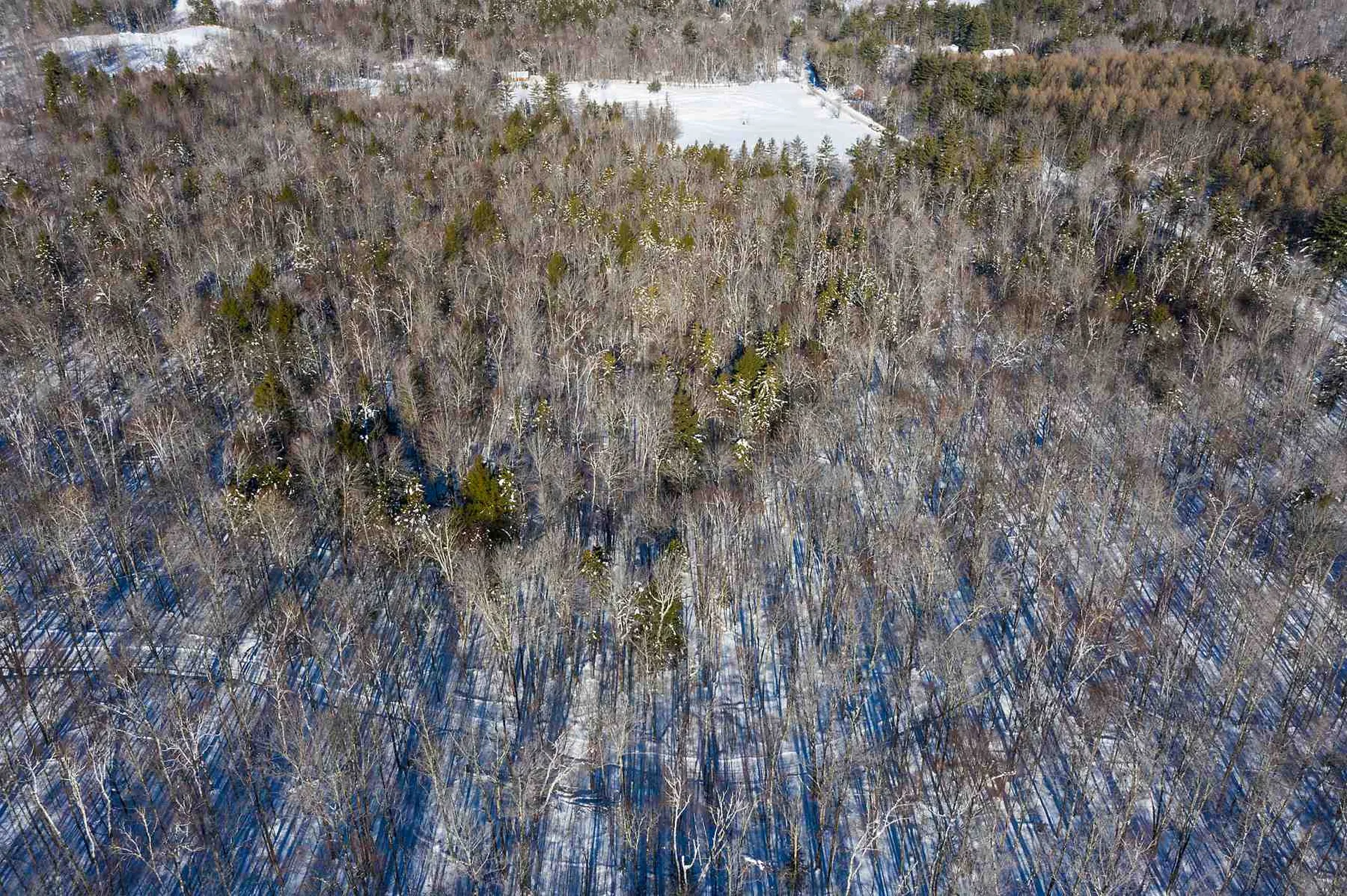 Lot 3 Curtis Hollow Road Woodstock VT 05091