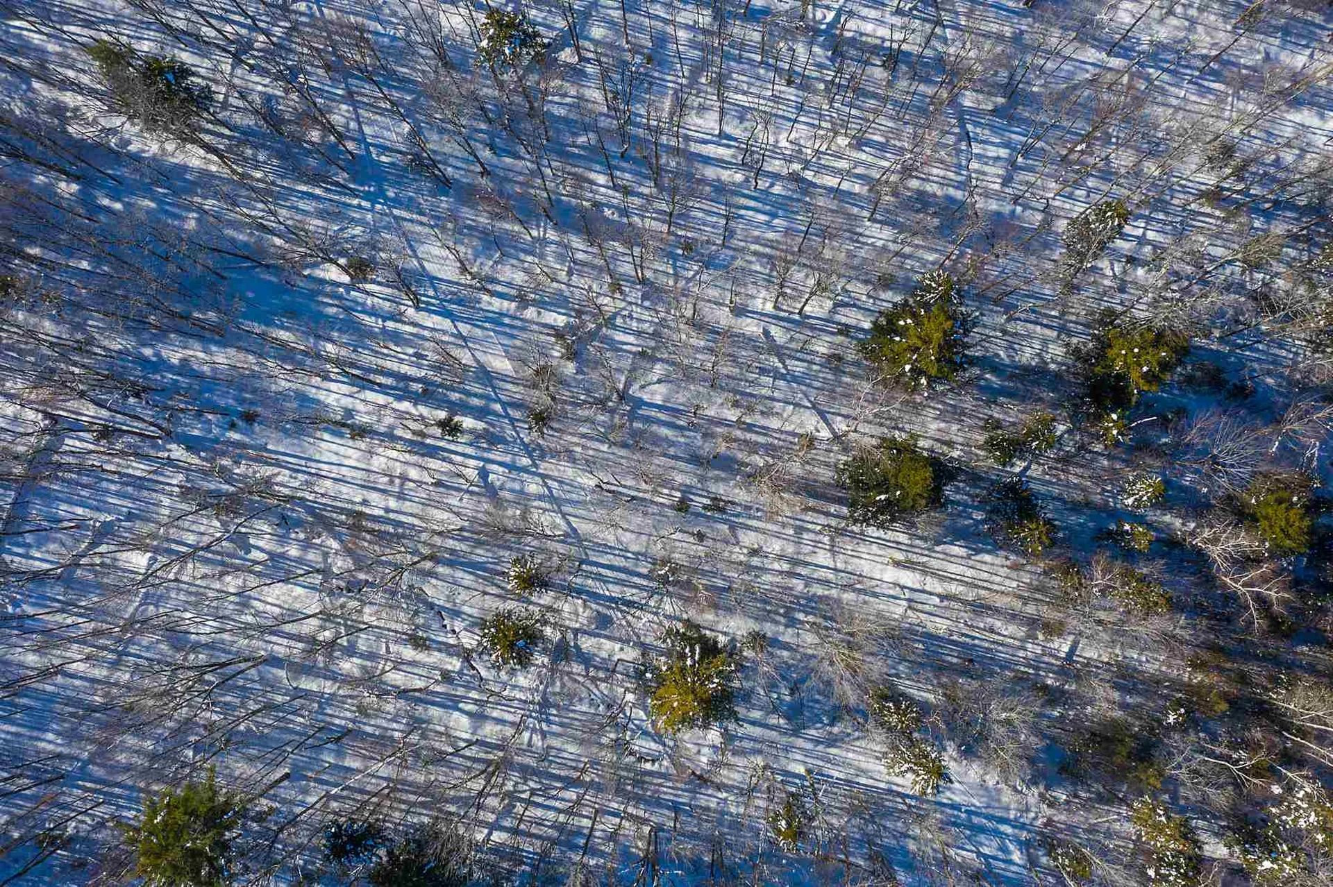 Lot 3 Curtis Hollow Road Woodstock VT 05091