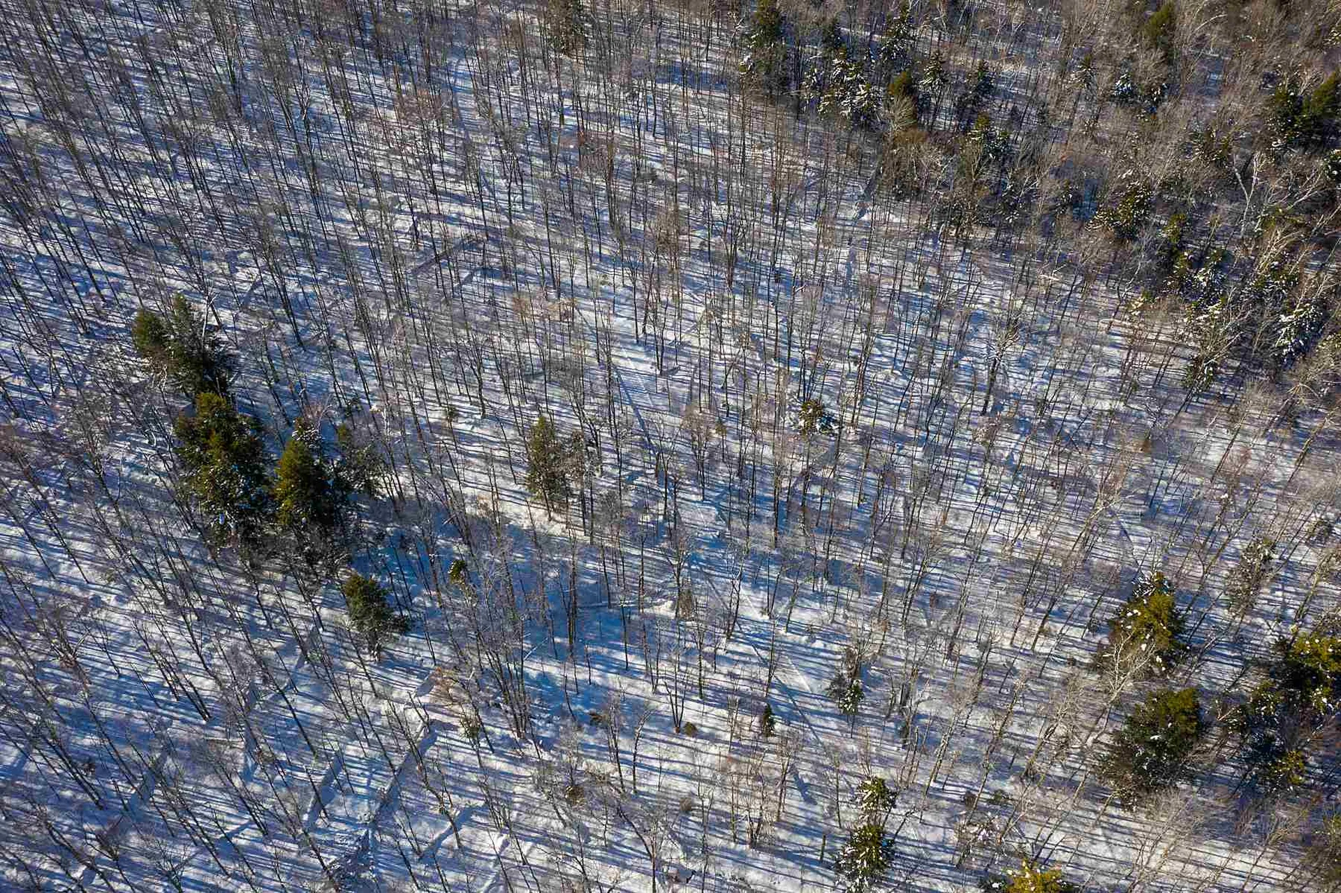 Lot 3 Curtis Hollow Road Woodstock VT 05091