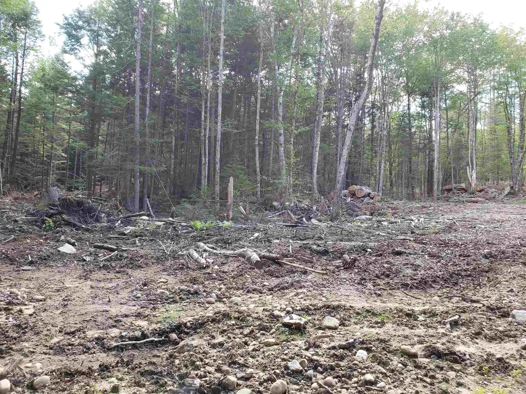 1 Prettyman Road Orford NH 03777