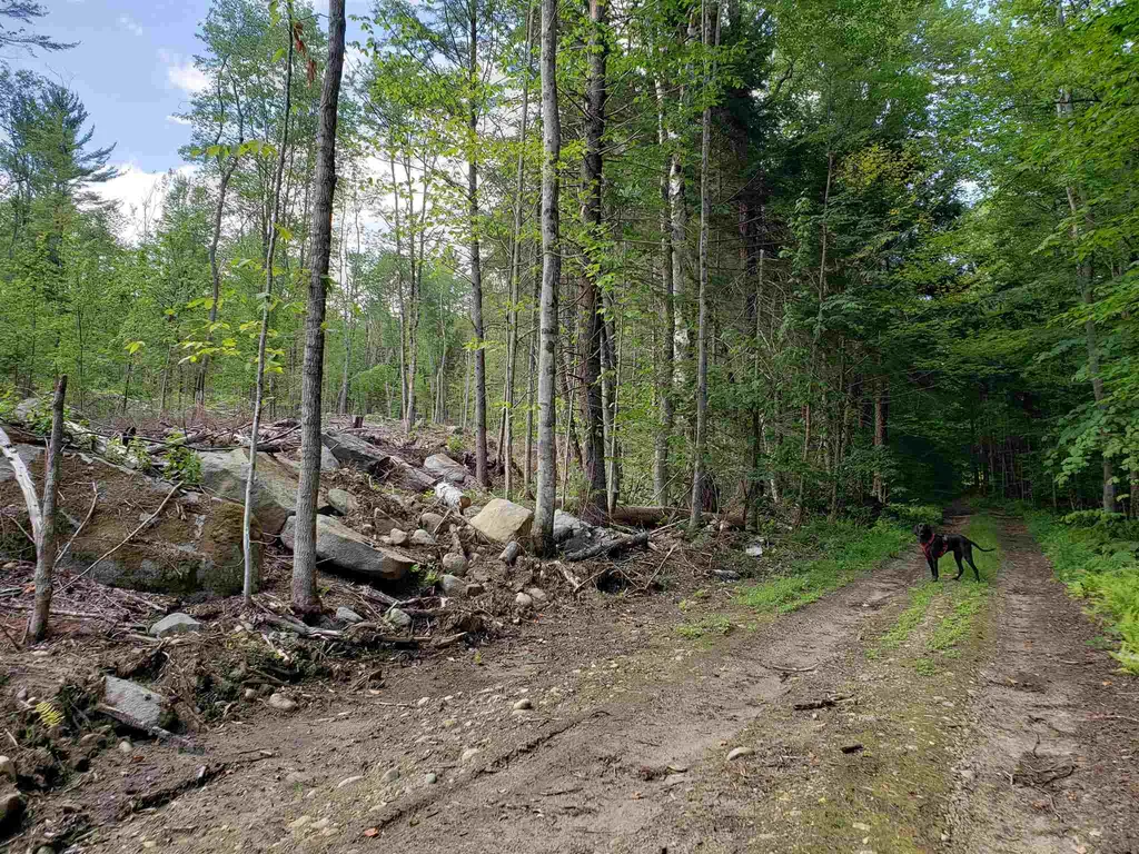 1 Prettyman Road Orford NH 03777
