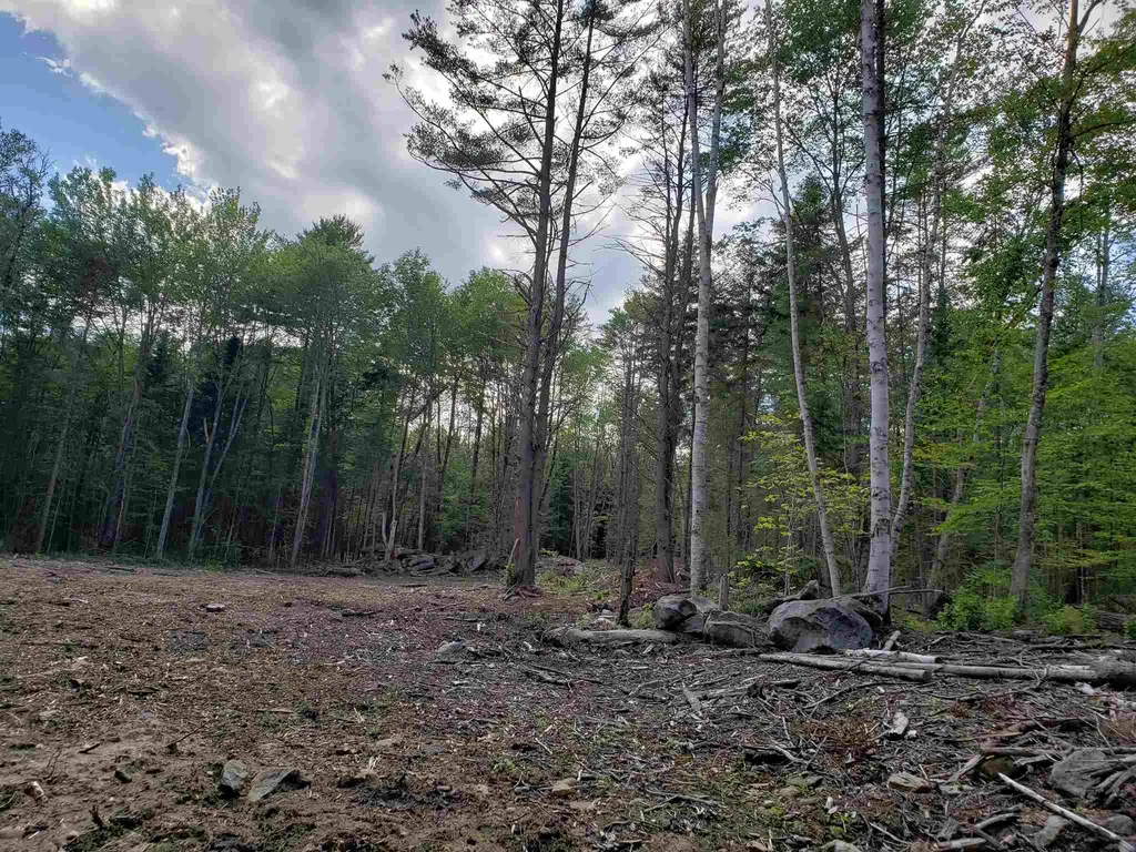 1 Prettyman Road Orford NH 03777