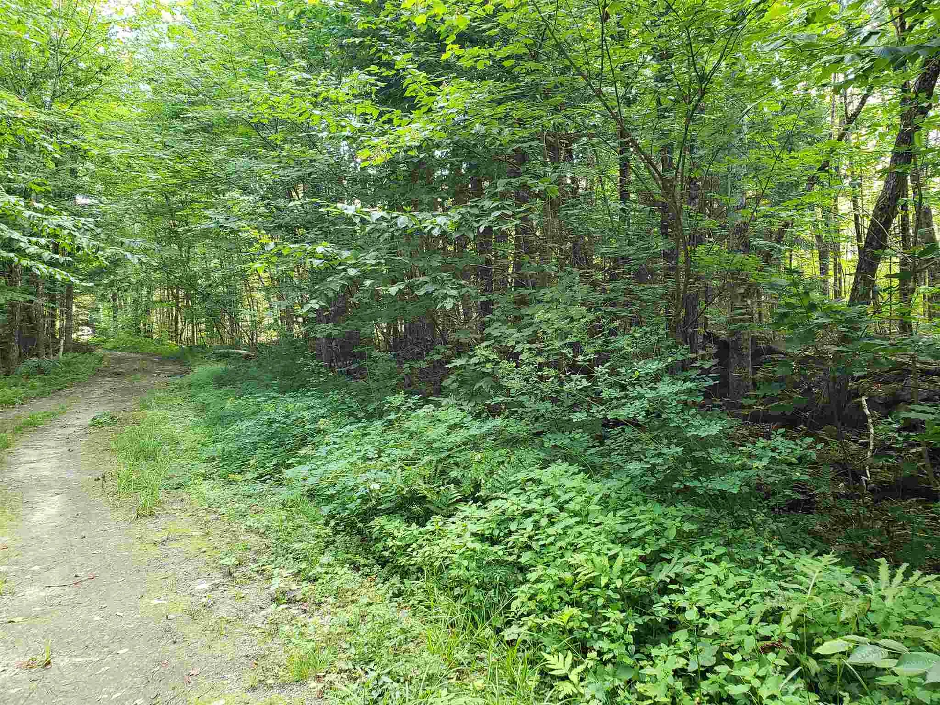 1 Prettyman Road Orford NH 03777