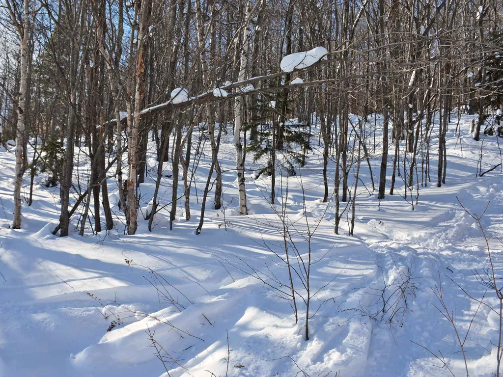 00 Upper Sugarbush Village Drive Warren VT 05674