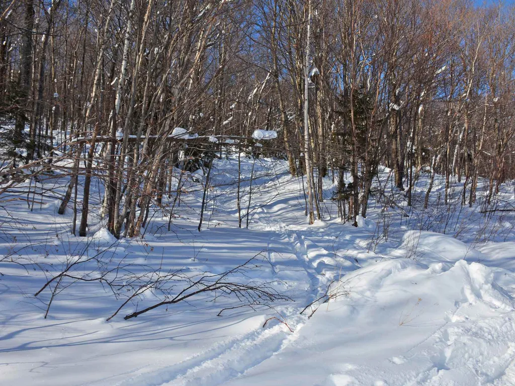 00 Upper Sugarbush Village Drive Warren VT 05674
