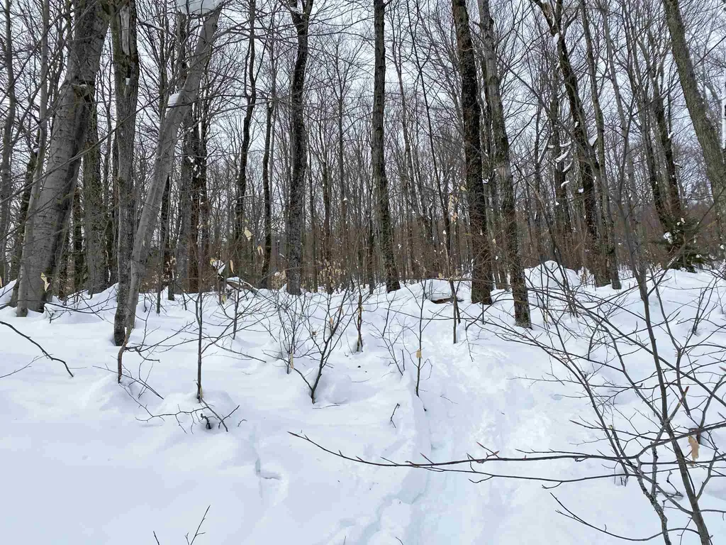 00 Upper Sugarbush Village Drive Warren VT 05674
