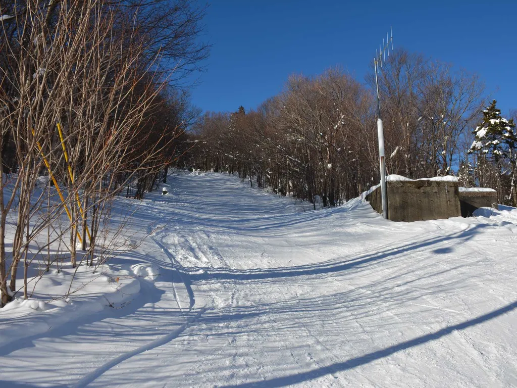 00 Upper Sugarbush Village Drive Warren VT 05674