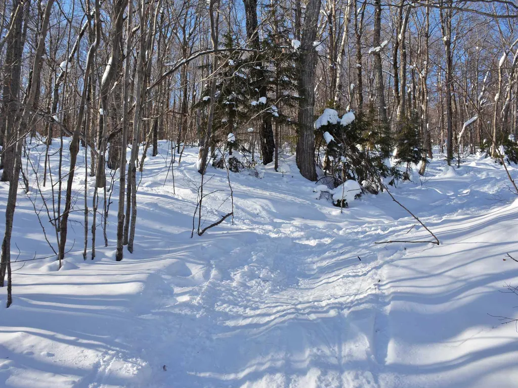 00 Upper Sugarbush Village Drive Warren VT 05674