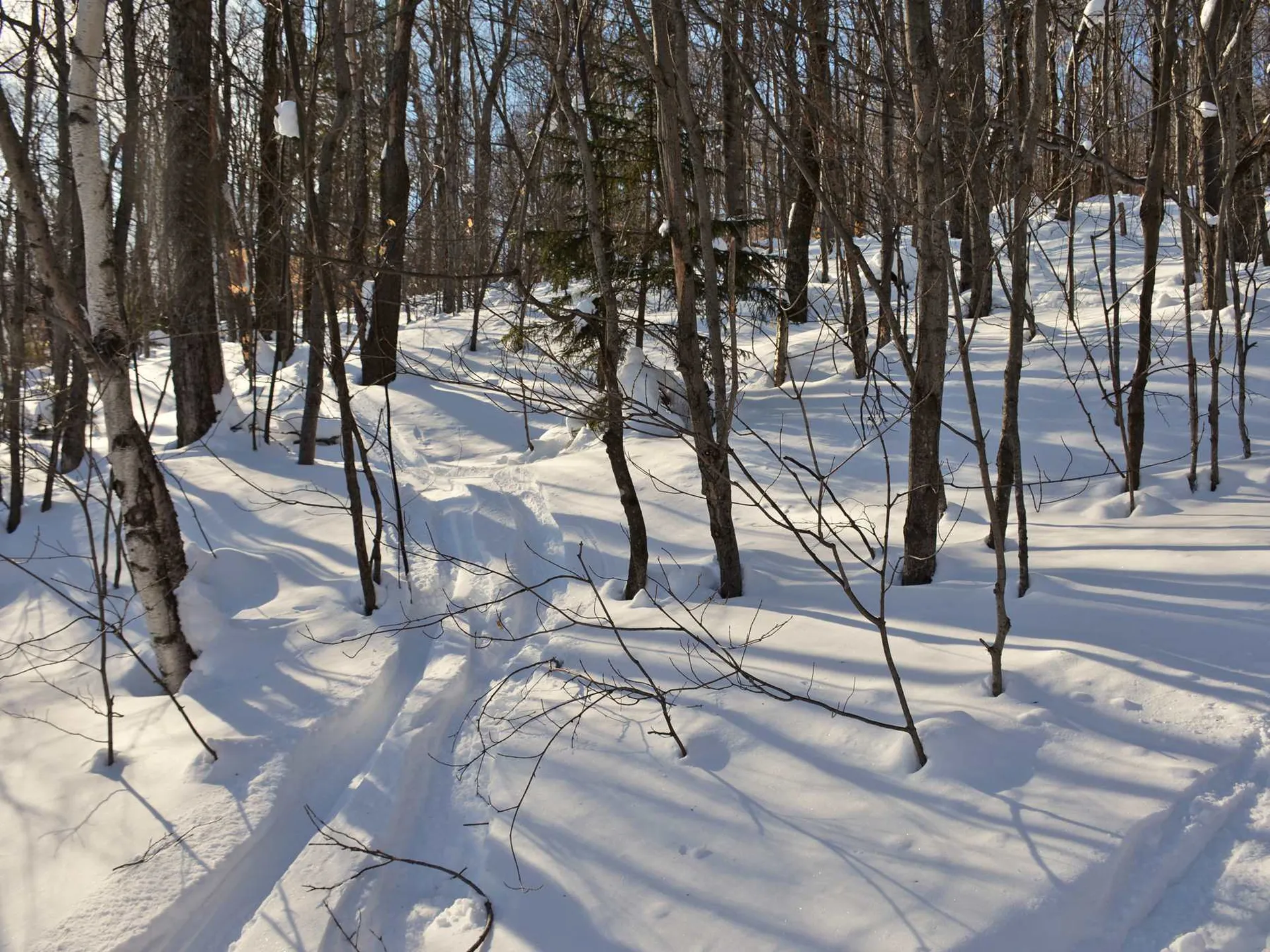 00 Upper Sugarbush Village Drive Warren VT 05674