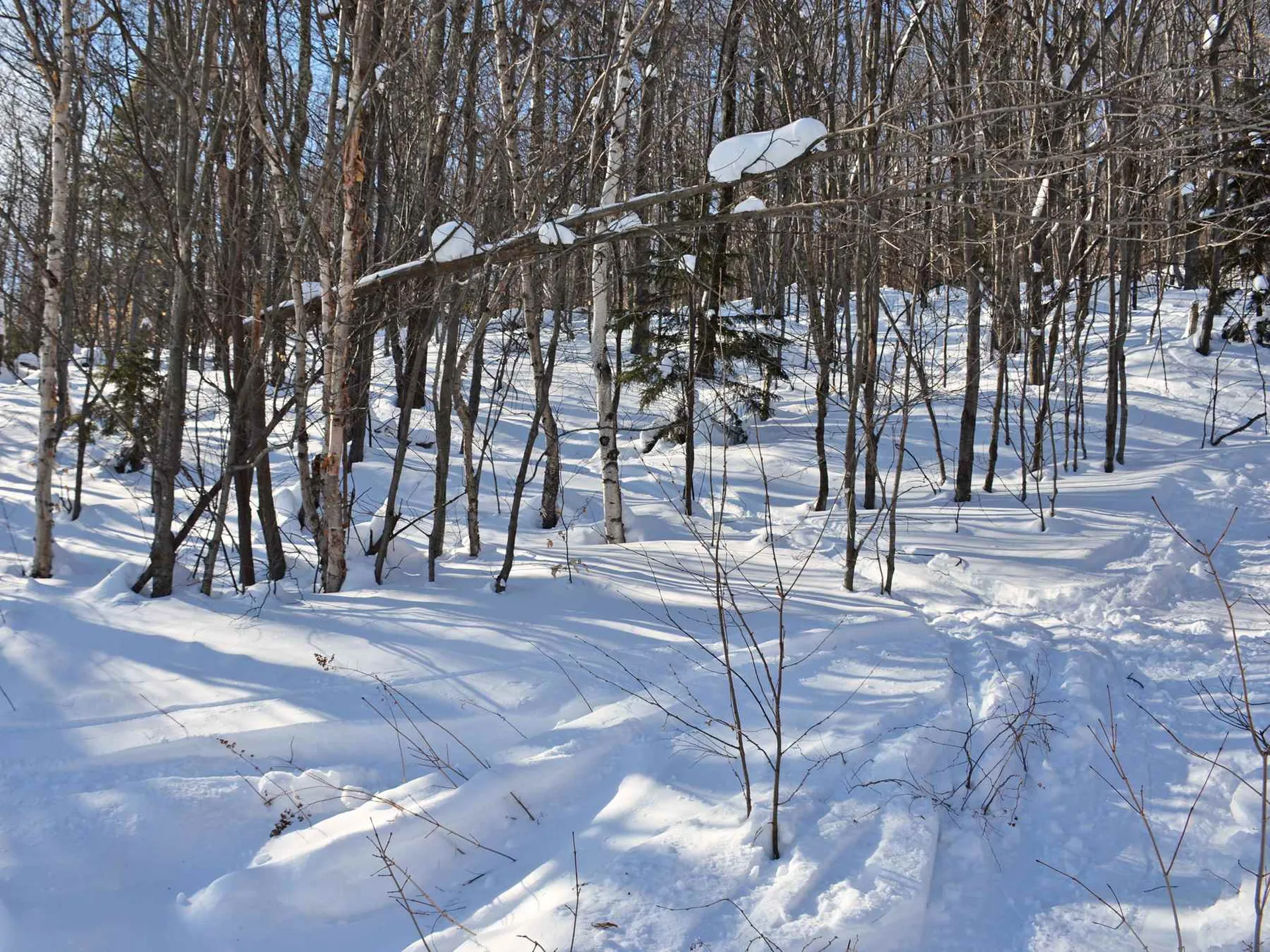 00 Upper Sugarbush Village Drive Warren VT 05674