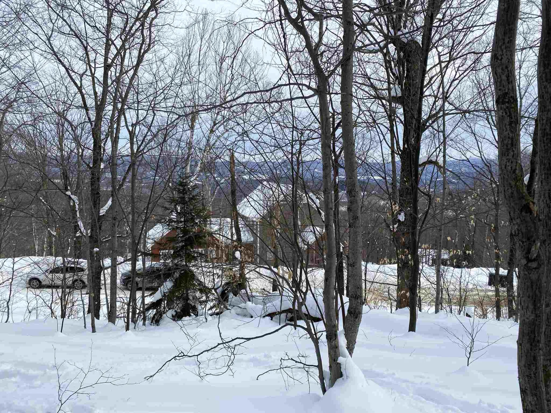 00 Upper Sugarbush Village Drive Warren VT 05674