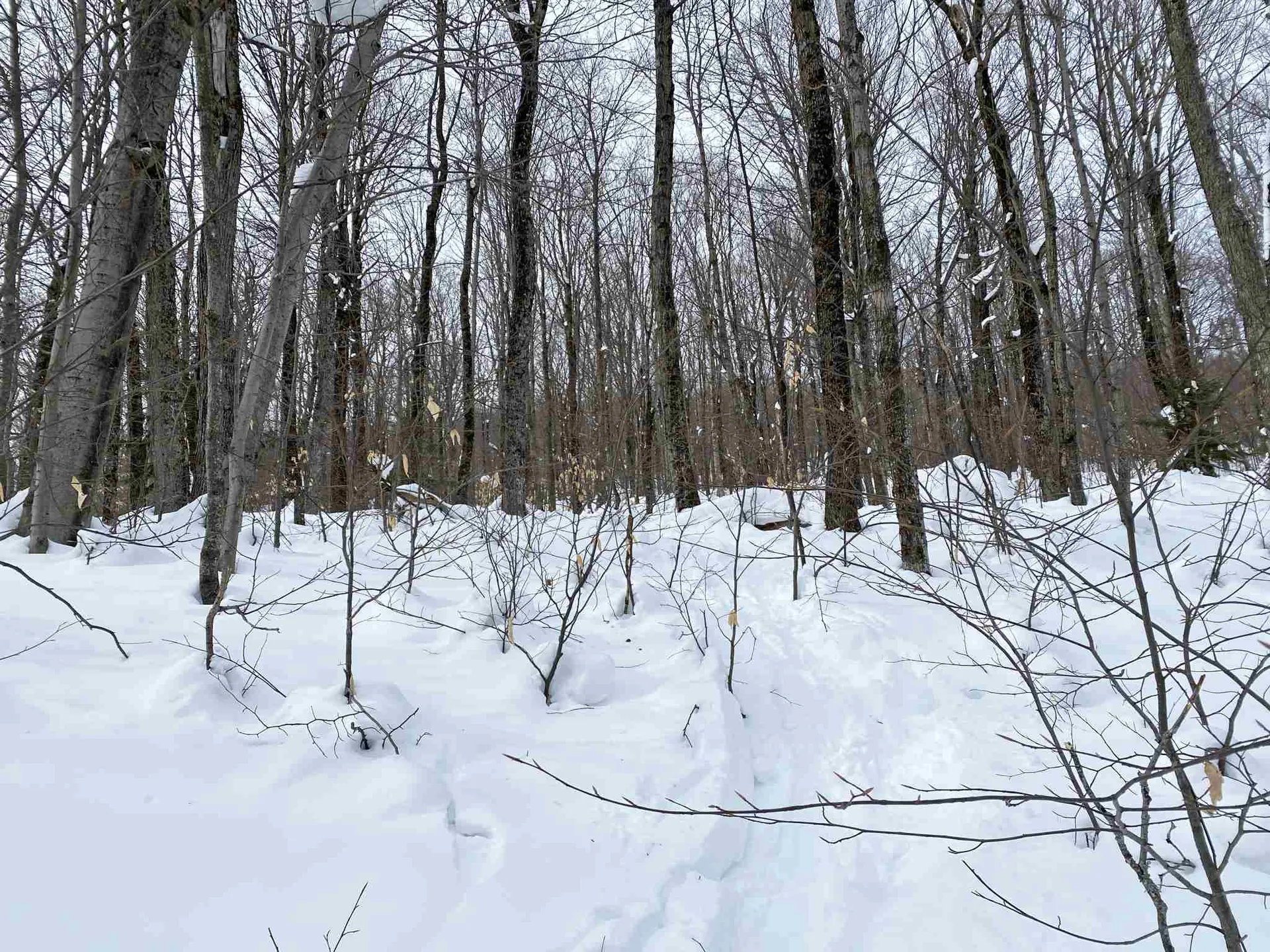 00 Upper Sugarbush Village Drive Warren VT 05674