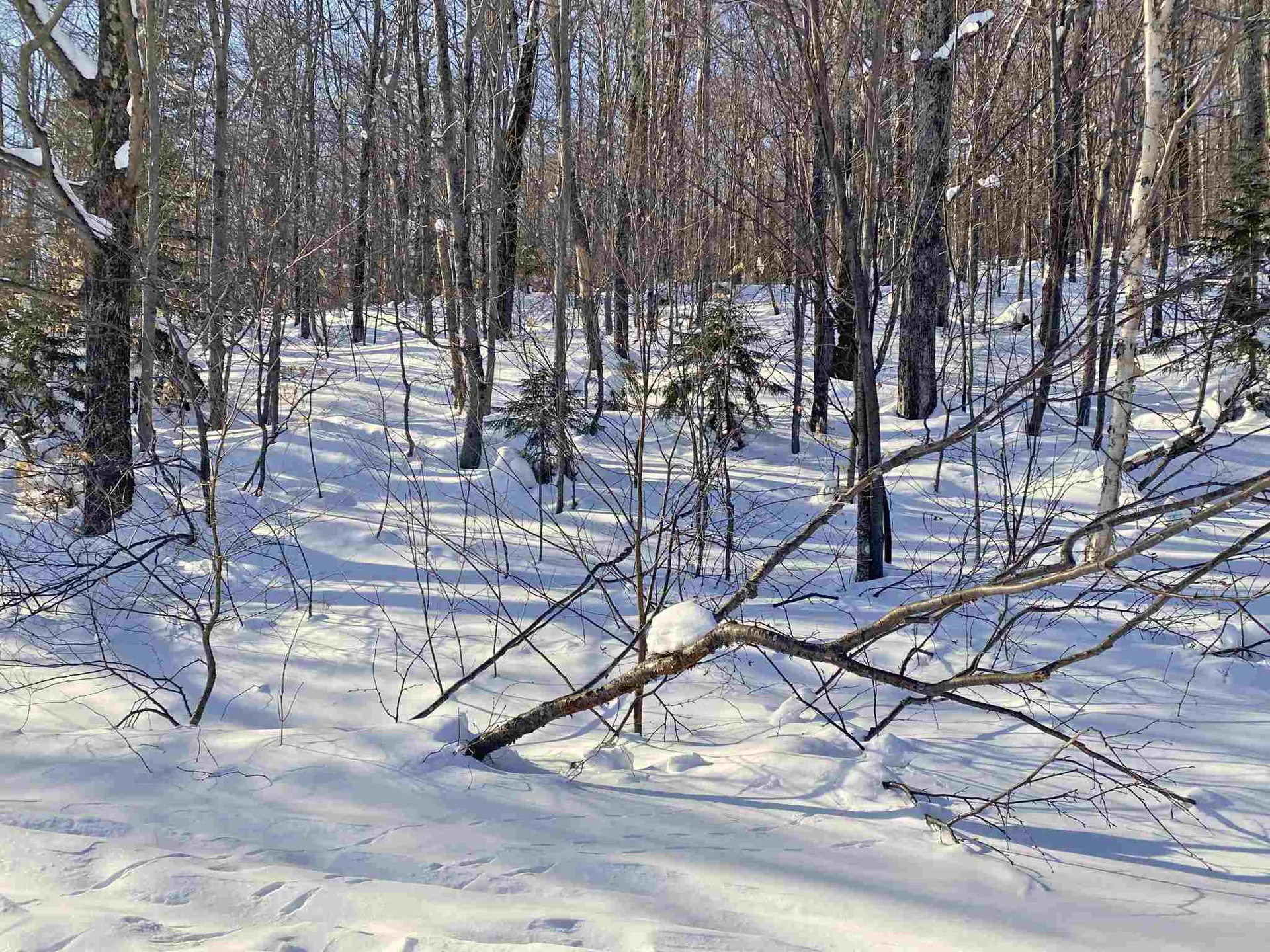 00 Upper Sugarbush Village Drive Warren VT 05674