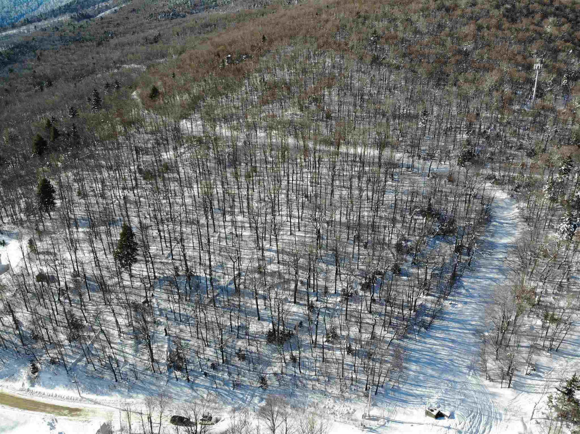 00 Upper Sugarbush Village Drive Warren VT 05674