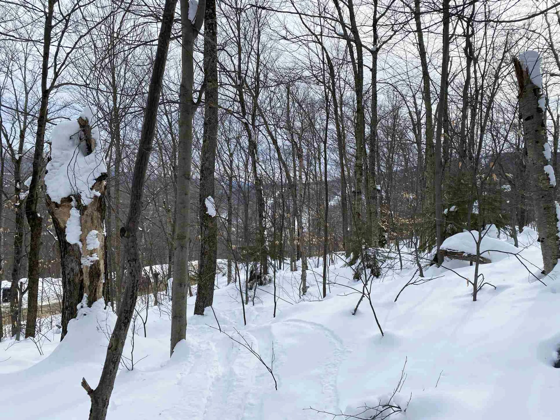 00 Upper Sugarbush Village Drive Warren VT 05674