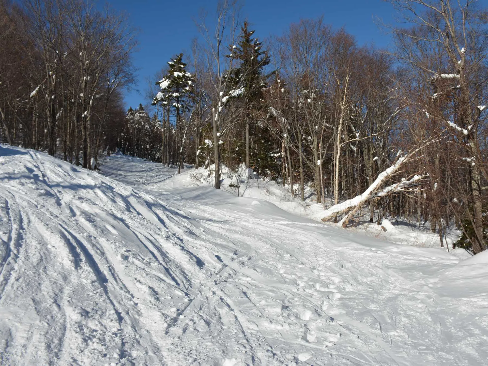 00 Upper Sugarbush Village Drive Warren VT 05674