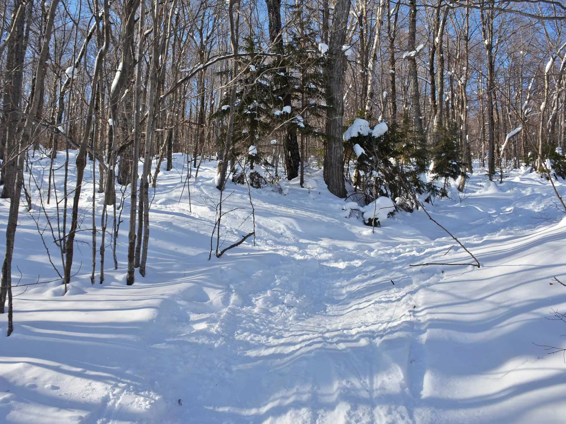00 Upper Sugarbush Village Drive Warren VT 05674