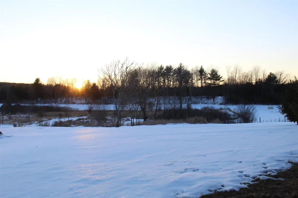 40 Griswold Lane Orwell VT 05760