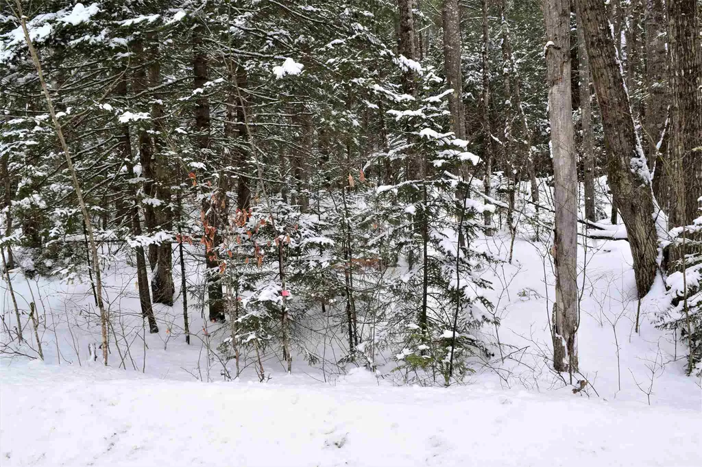 Lot 289 Valley Road Haverhill NH 03785