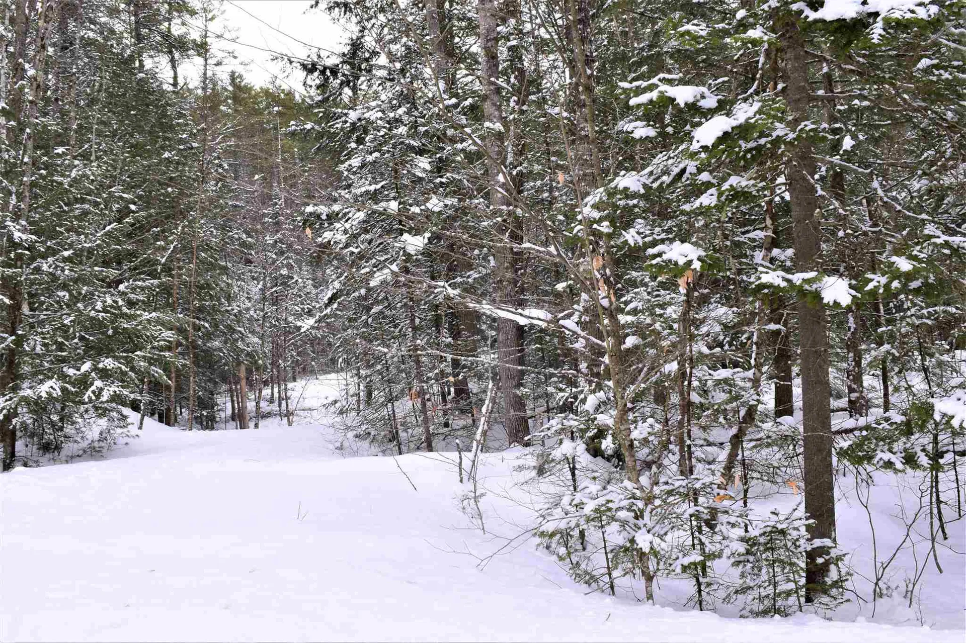 Lot 289 Valley Road Haverhill NH 03785