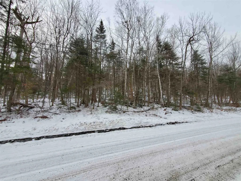 12 Tapping Tree Lane Dover VT 05356