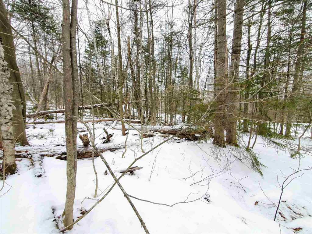 12 Tapping Tree Lane Dover VT 05356