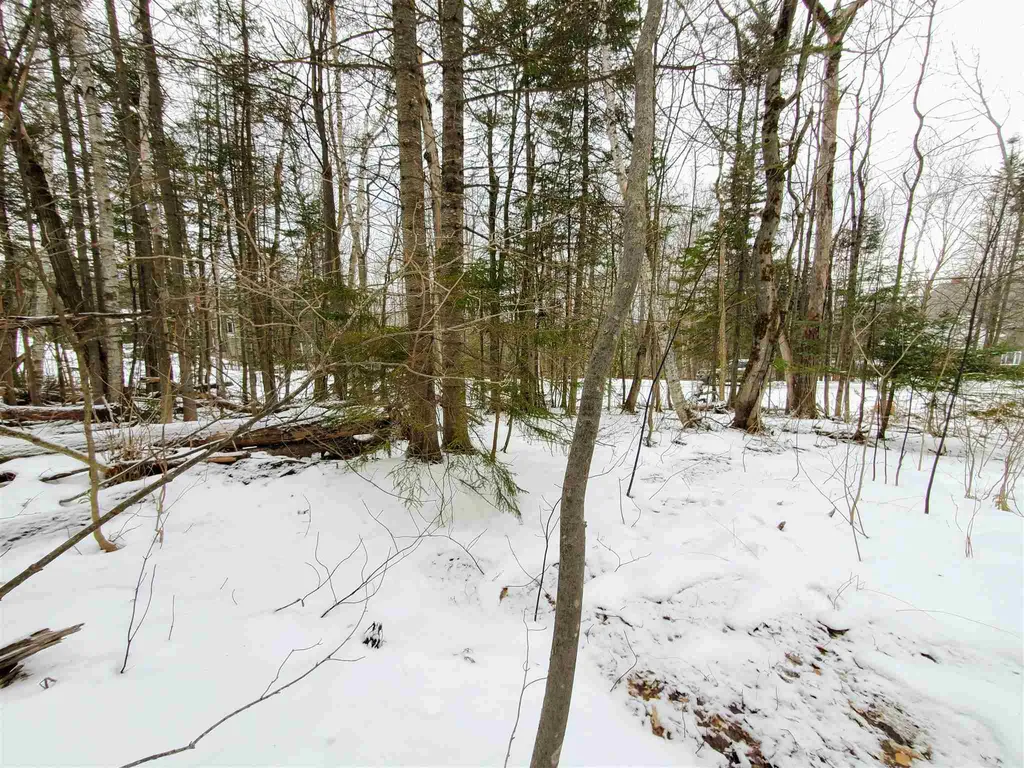 12 Tapping Tree Lane Dover VT 05356