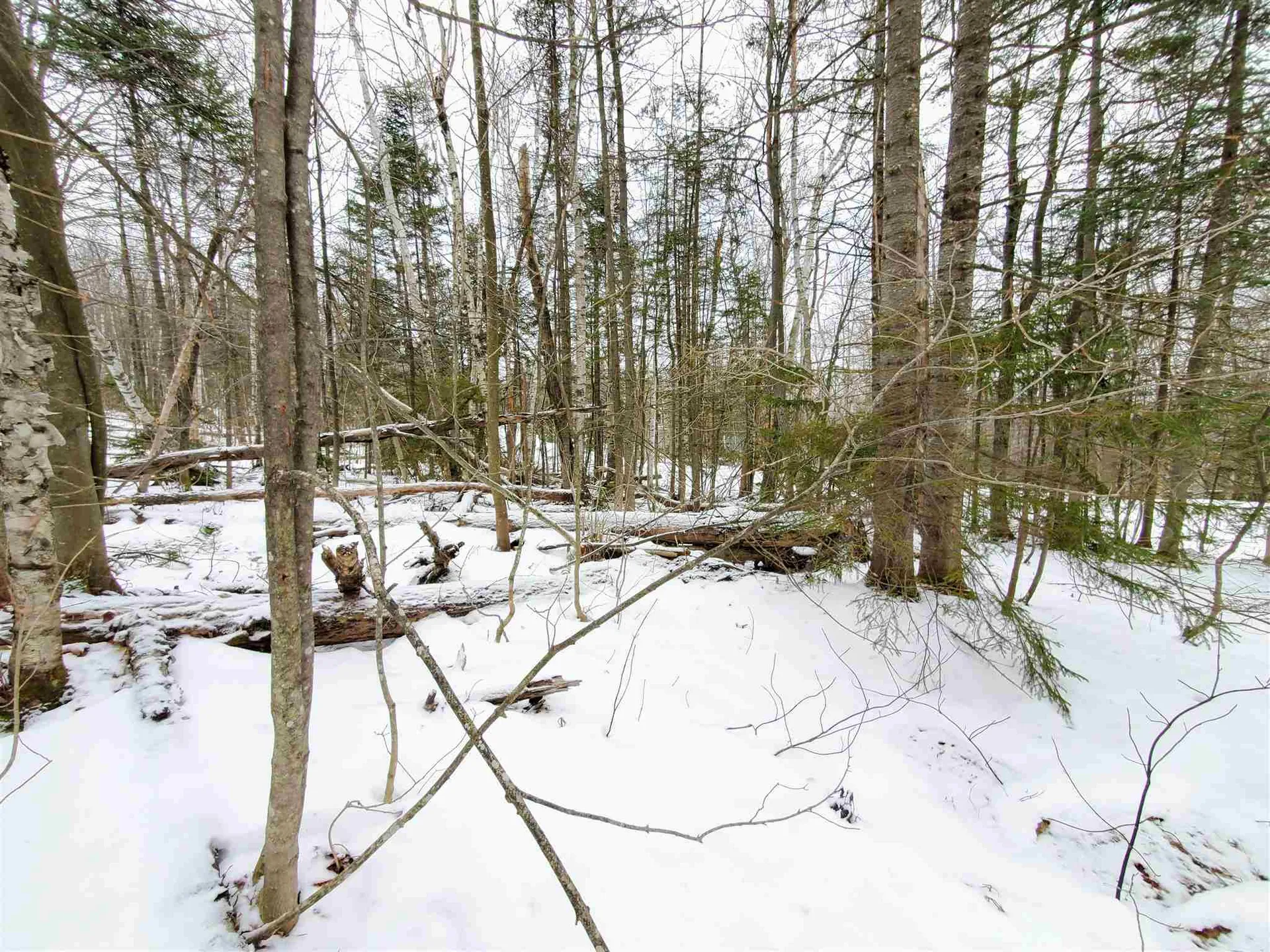 12 Tapping Tree Lane Dover VT 05356
