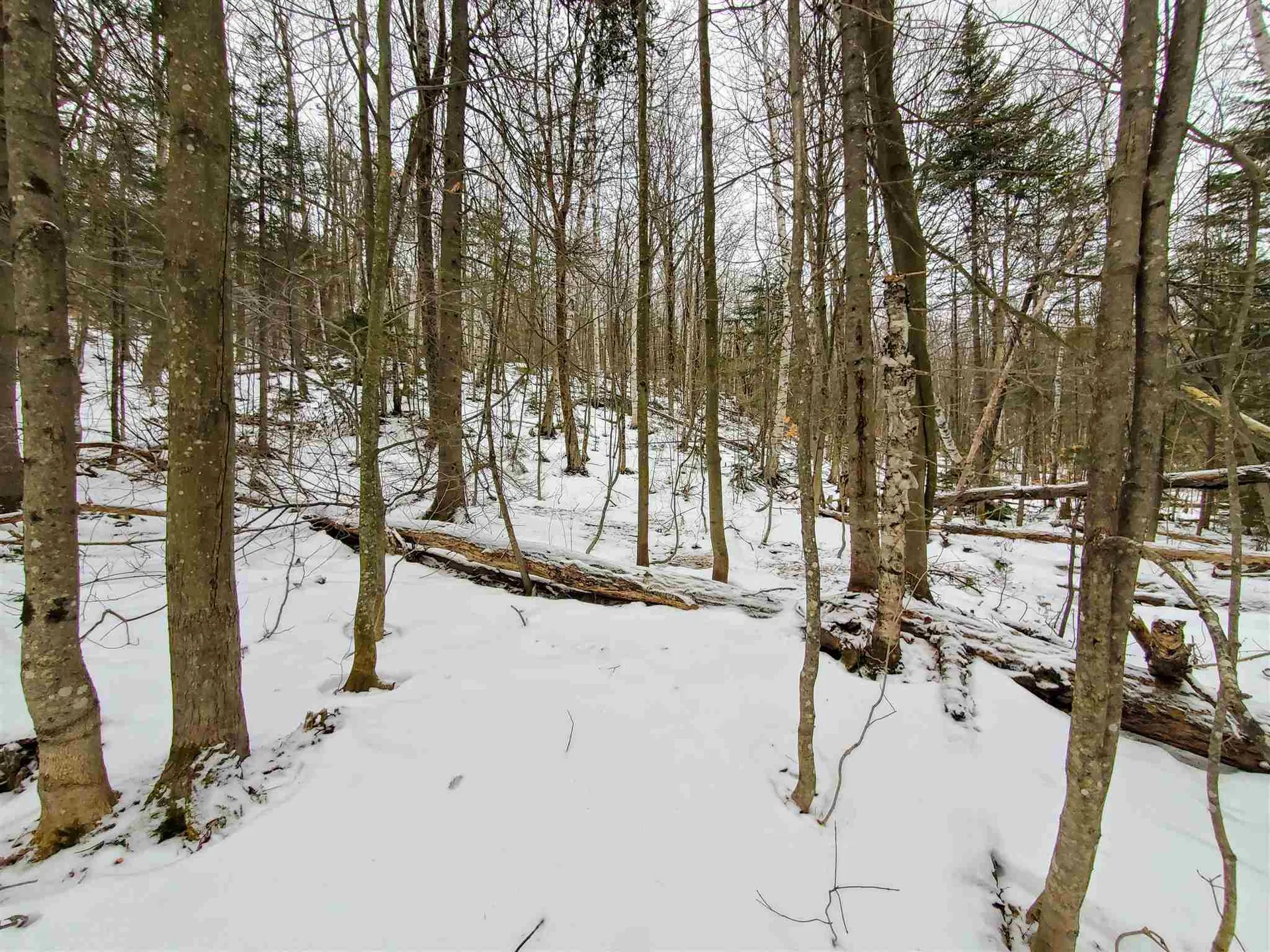12 Tapping Tree Lane Dover VT 05356