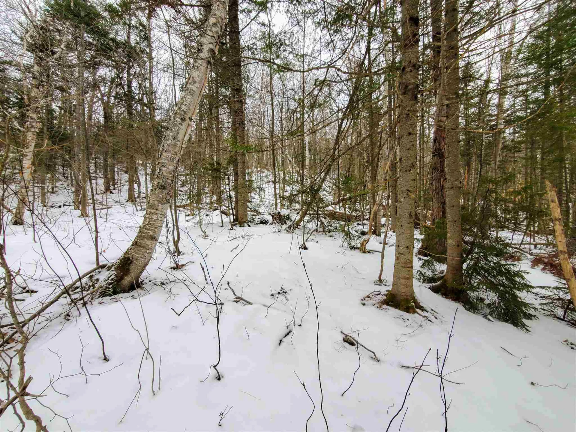 12 Tapping Tree Lane Dover VT 05356