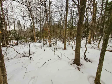12 Tapping Tree Lane Dover VT 05356