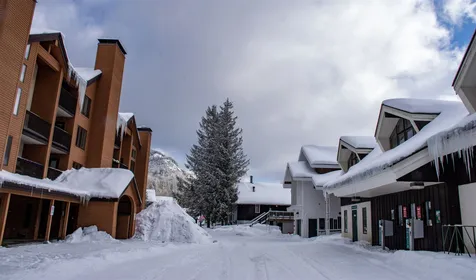 71 Alpine Drive Killington VT 05751