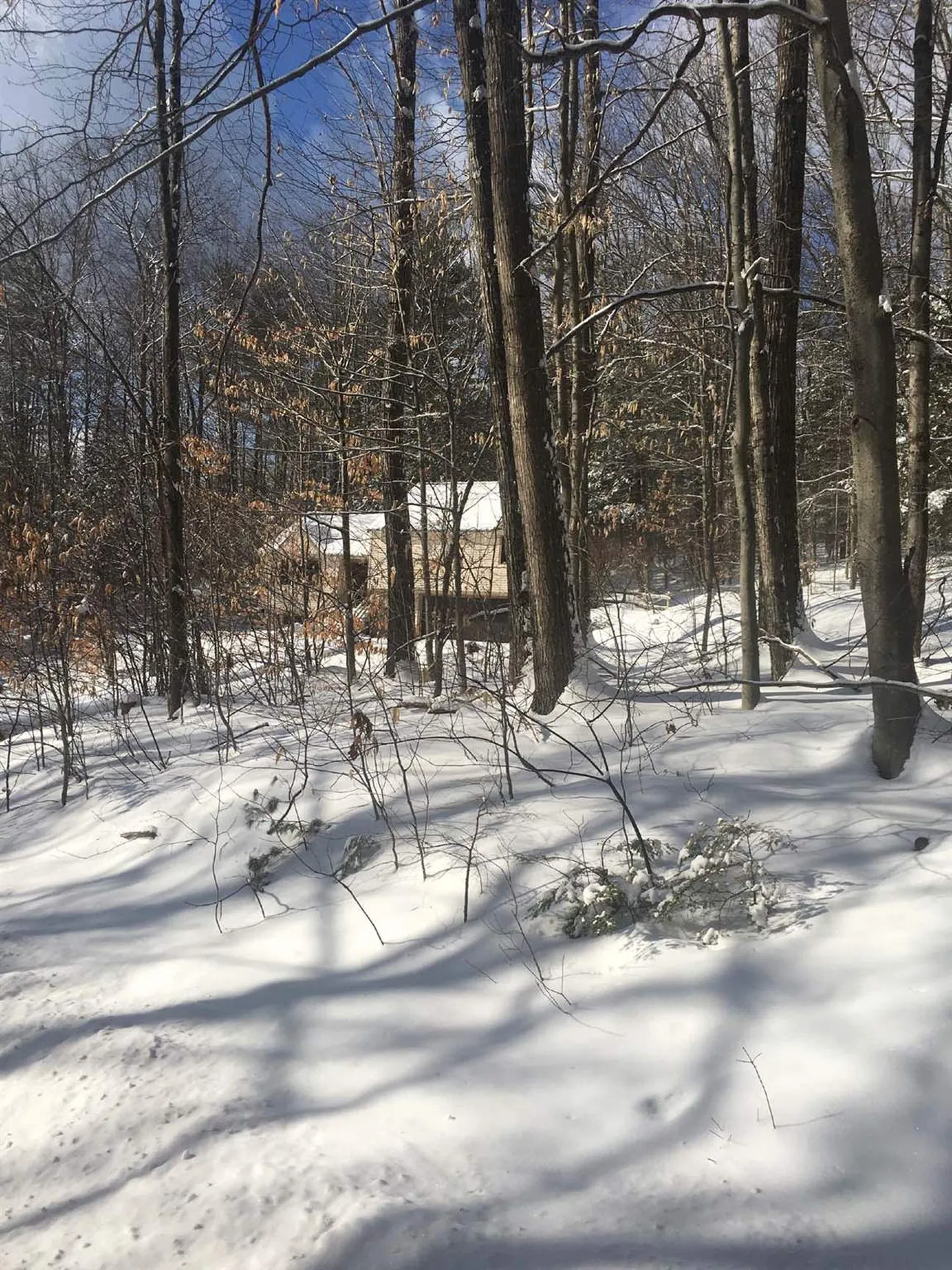 78 Sunrise Circle Plymouth NH 03264