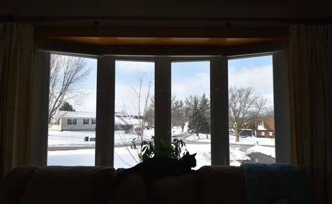 3 Adele Drive Vergennes VT 05491