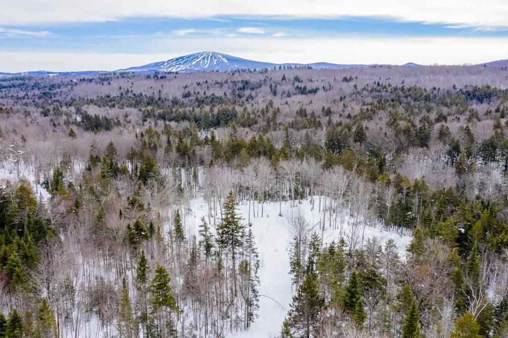 214 French Hollow Road Winhall VT 05340