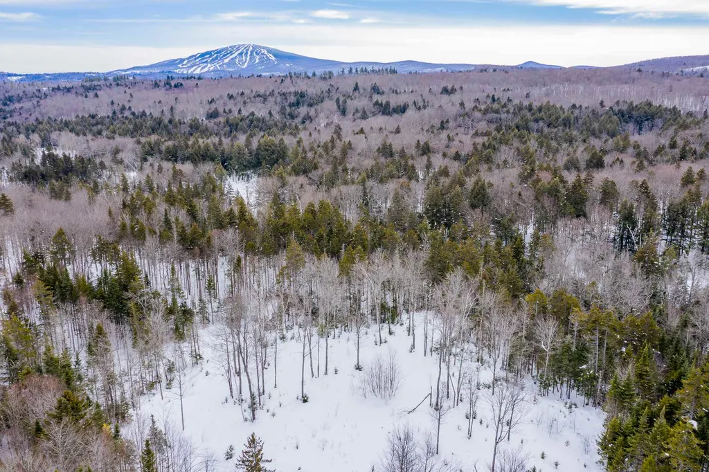 214 French Hollow Road Winhall VT 05340