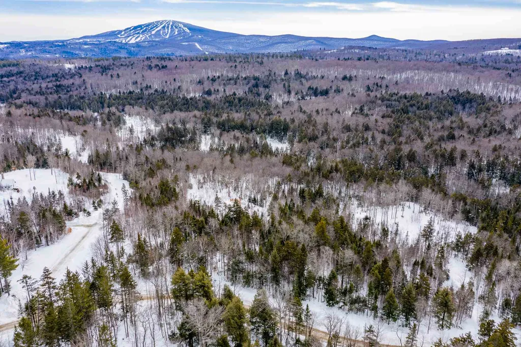 214 French Hollow Road Winhall VT 05340
