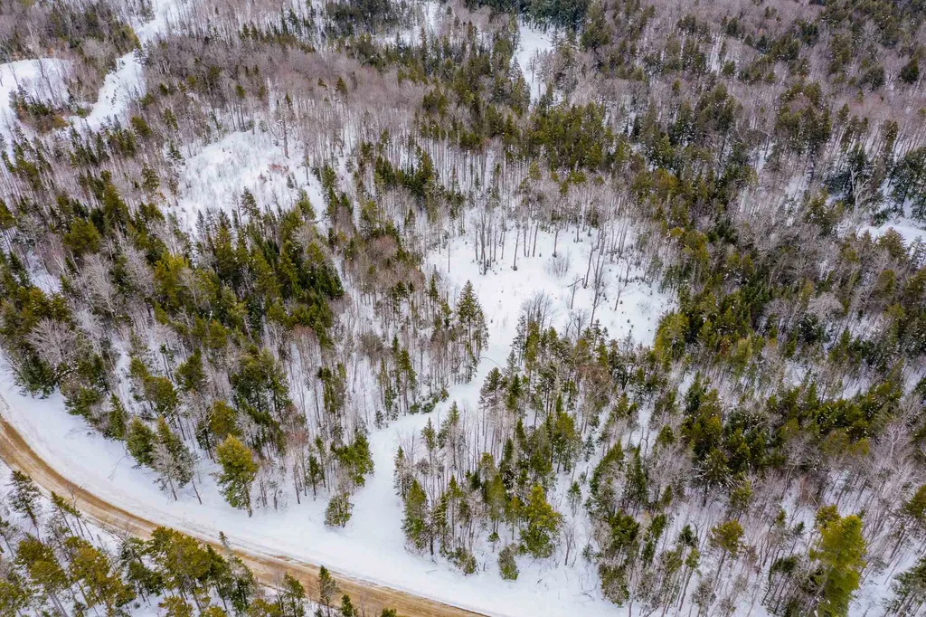 214 French Hollow Road Winhall VT 05340