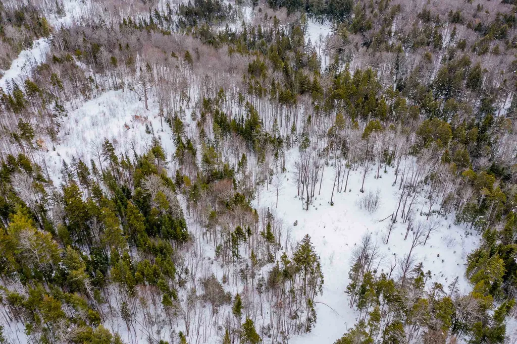 214 French Hollow Road Winhall VT 05340