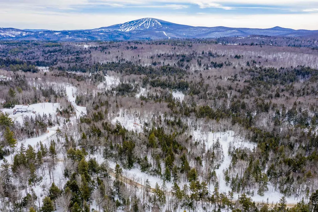 214 French Hollow Road Winhall VT 05340