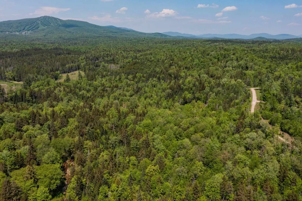 214 French Hollow Road Winhall VT 05340