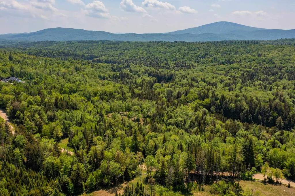 214 French Hollow Road Winhall VT 05340