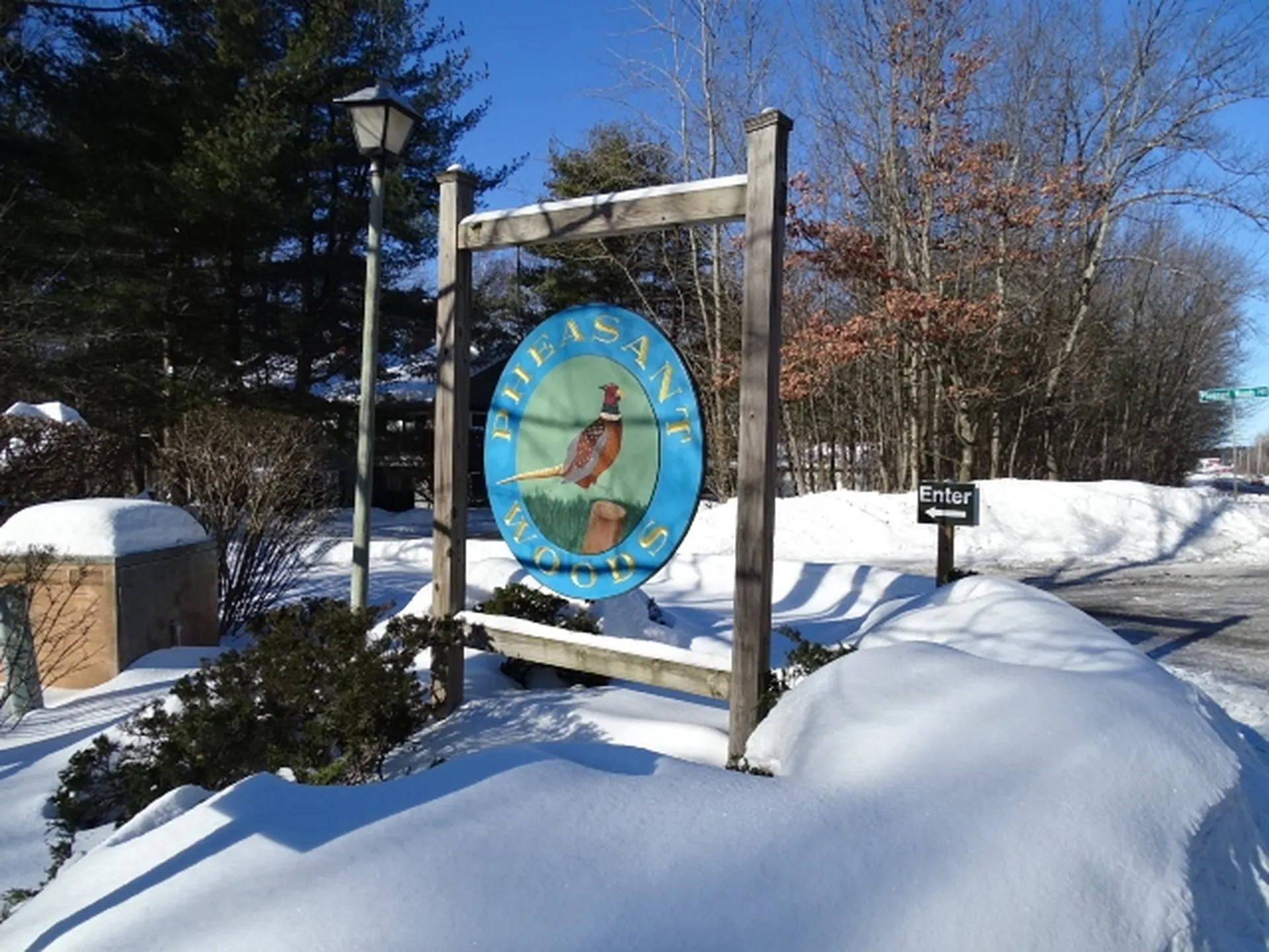 108 Pheasant Woods Colchester VT 05446