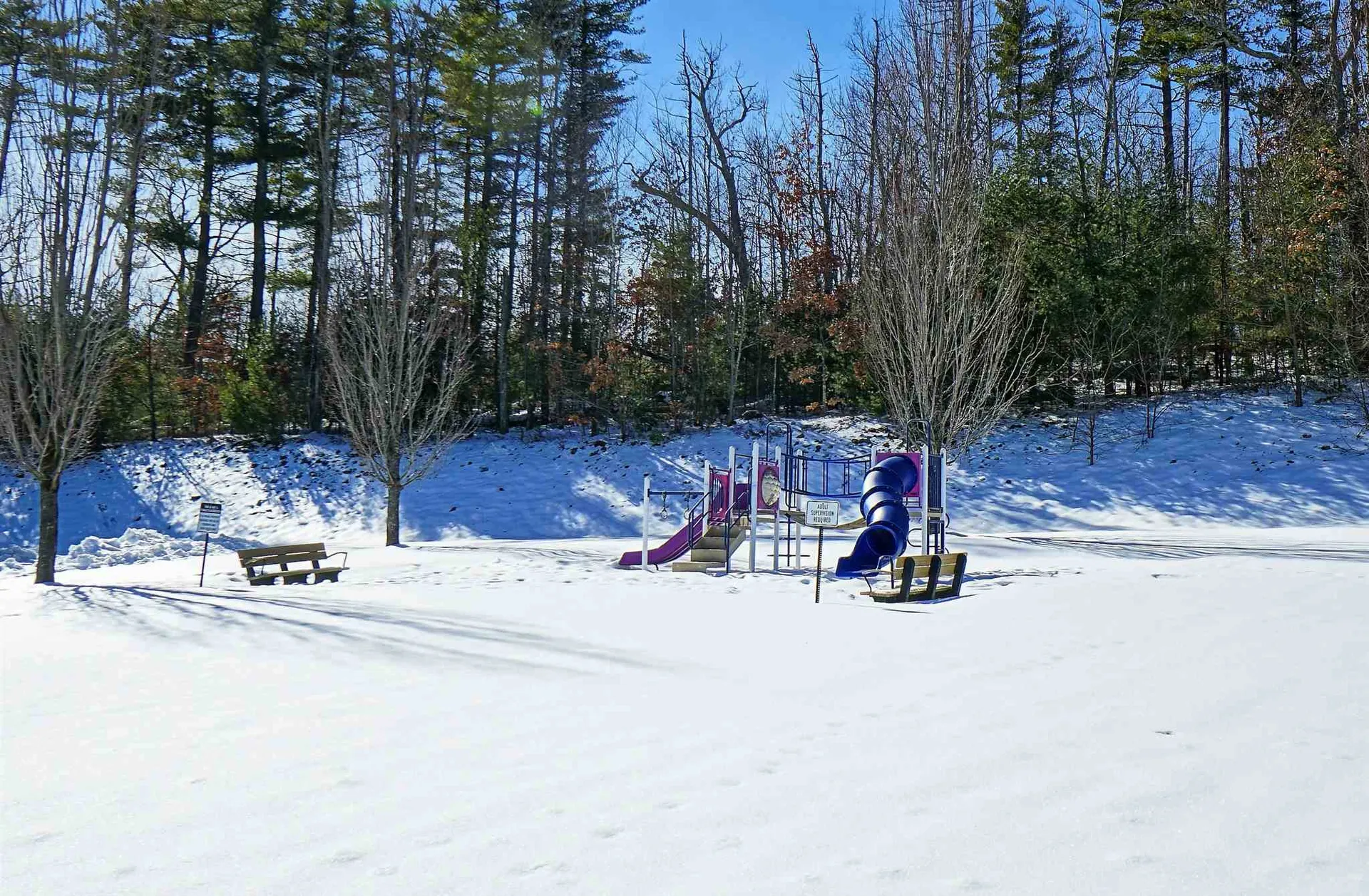12 Vista Ridge Drive Londonderry NH 03053