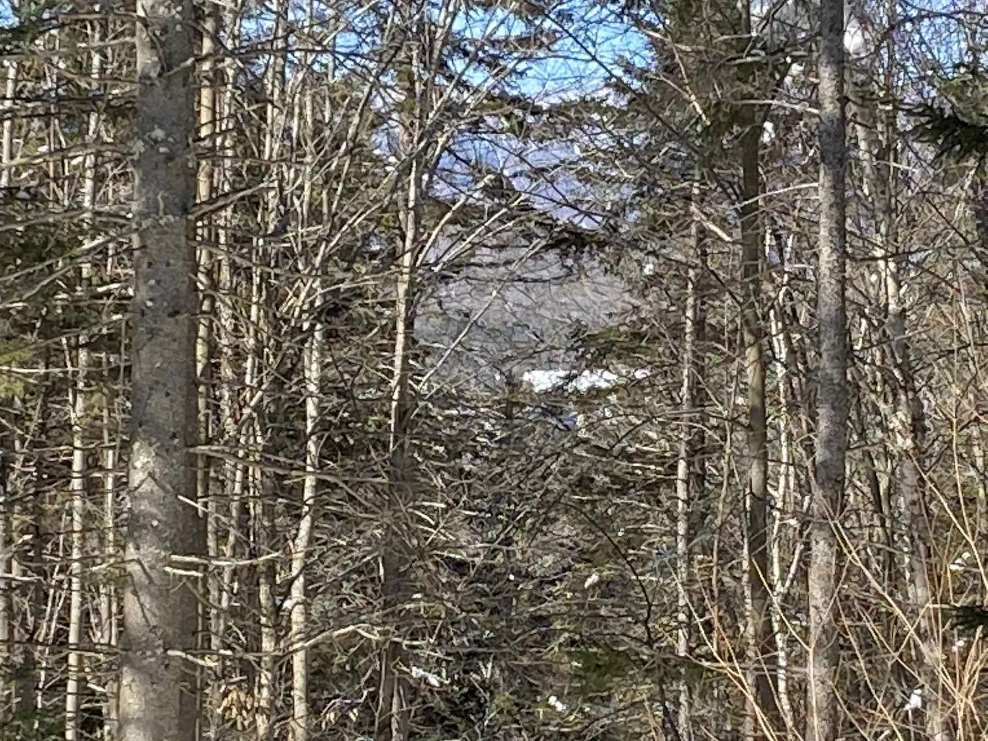 160 Larrow Farm Road Warren VT 05674