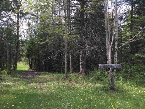 866 Rocking Rock Road Greensboro VT 05841