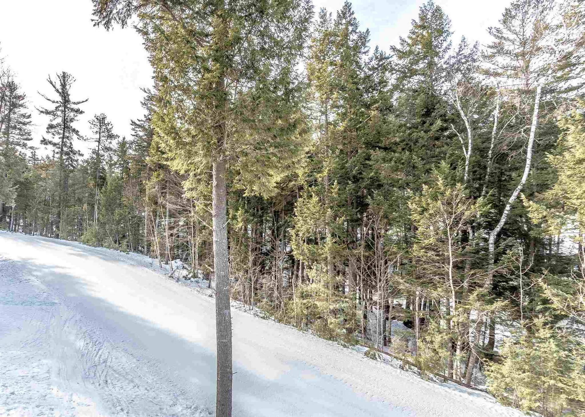 50 Mountainside On Attitash Road Bartlett NH 03812