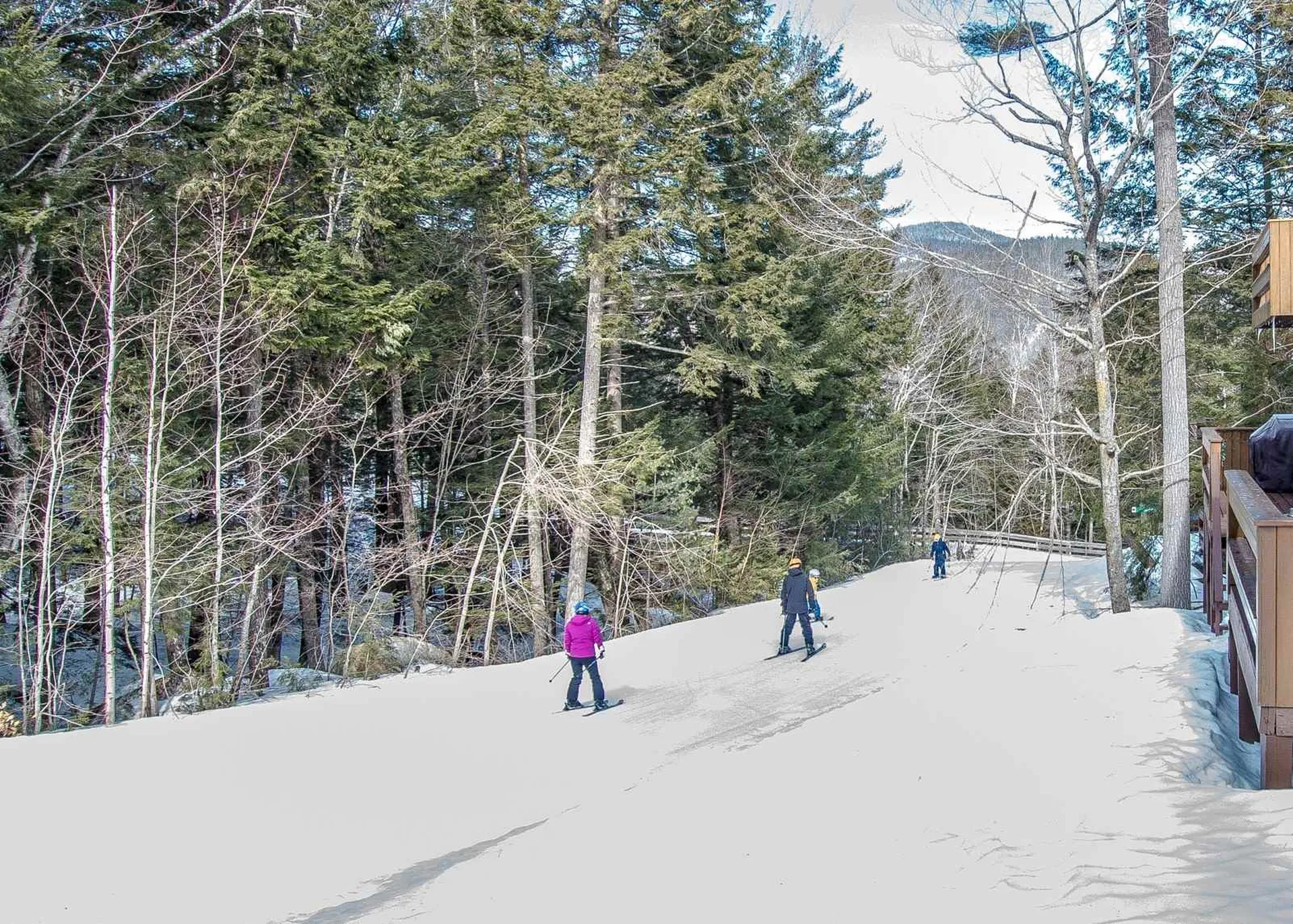 50 Mountainside On Attitash Road Bartlett NH 03812