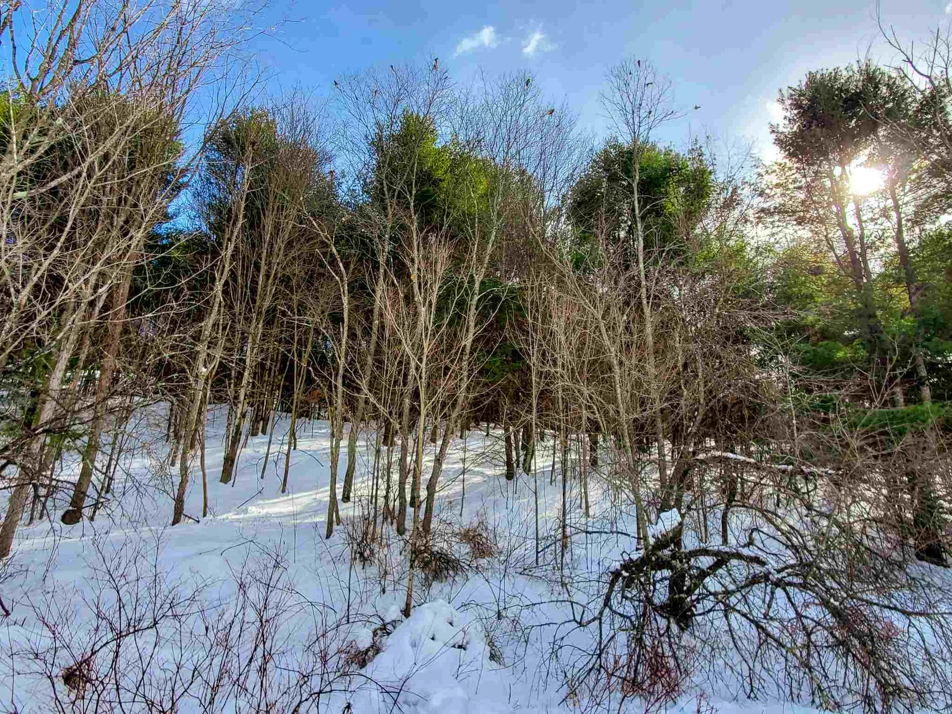 203 Slack Hill Road Royalton VT 05068